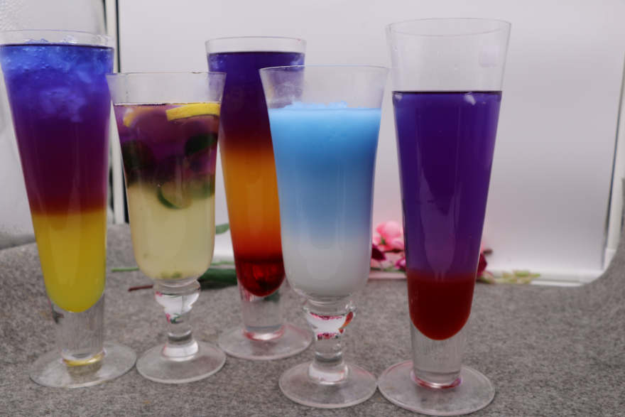 合肥泰国蝶豆花培训